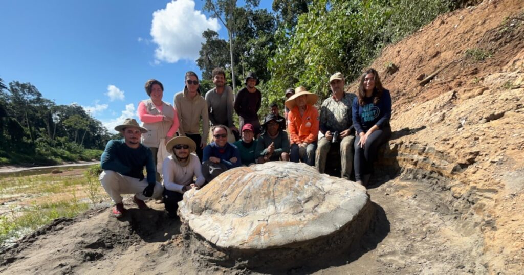 O que se sabe sobre tartaruga-gigante que vivia na Amazônia
