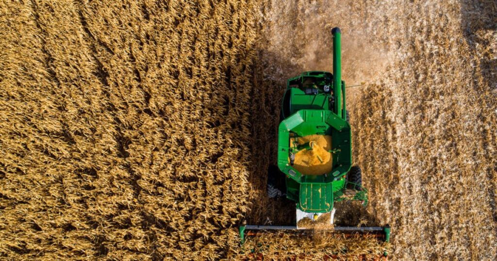 Políticas de Trump complicam o quadro da capacidade do agro dos EUA de competir no mercado global