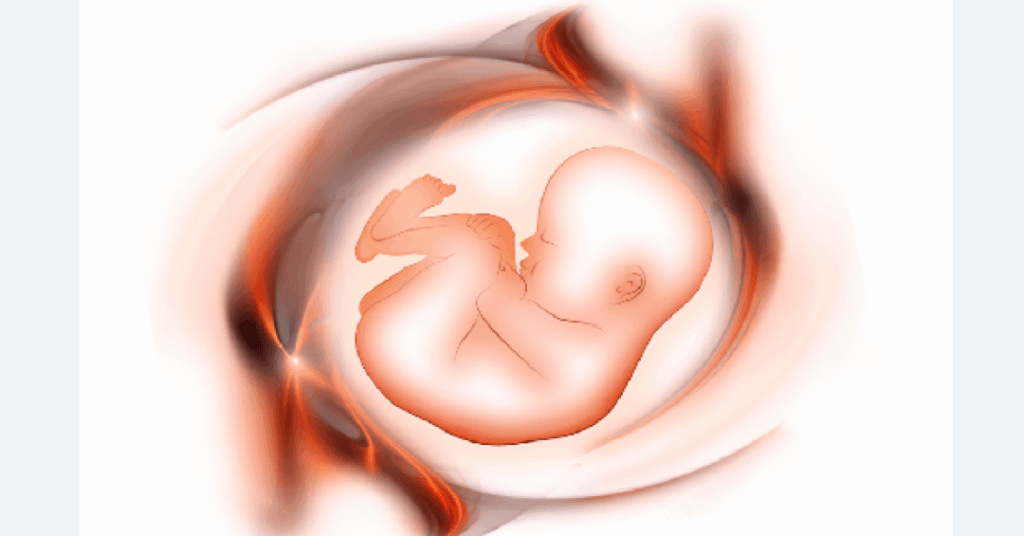 Poluentes onipresentes afetam fertilidade e chegam até a órgãos do bebê