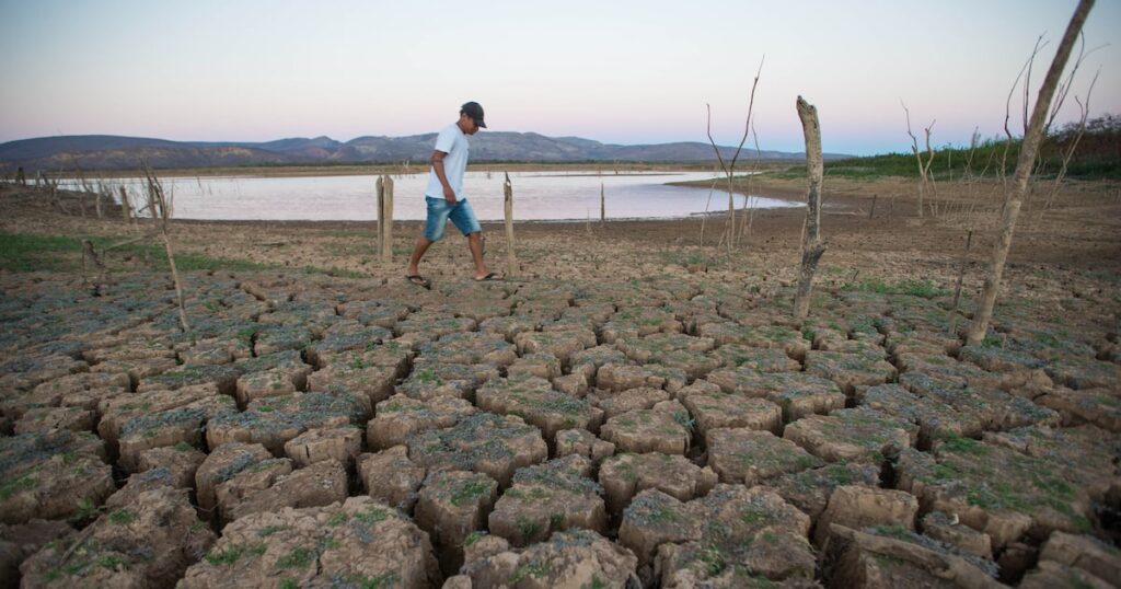 A COP-30 está aí: como o setor de seguros será afetado pelas mudanças climáticas?