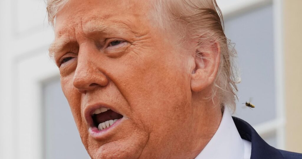 Elevação das tarifas americanas prejudica principalmente os próprios Estados Unidos