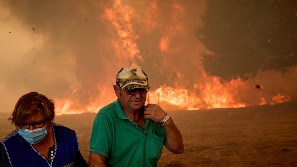 Incêndios em Espanha: Sánchez anuncia a criação de uma comissão para o clima