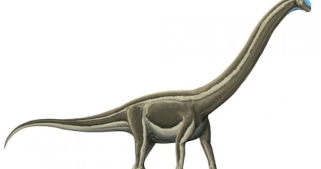 Qual foi a doença mortal que dizimou dinossauros pescoçudos em SP
