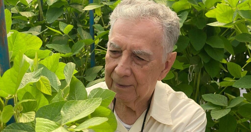 Quem é o ‘pai da soja’ e como ele ajudou o Brasil a se tornar o maior produtor e exportador do mundo