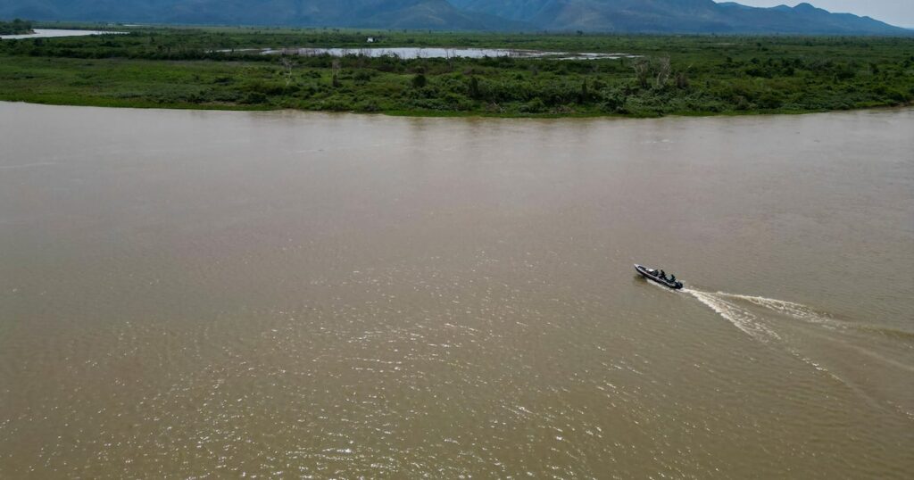 Cientistas descobrem ‘vírus gigante’ no Pantanal; entenda