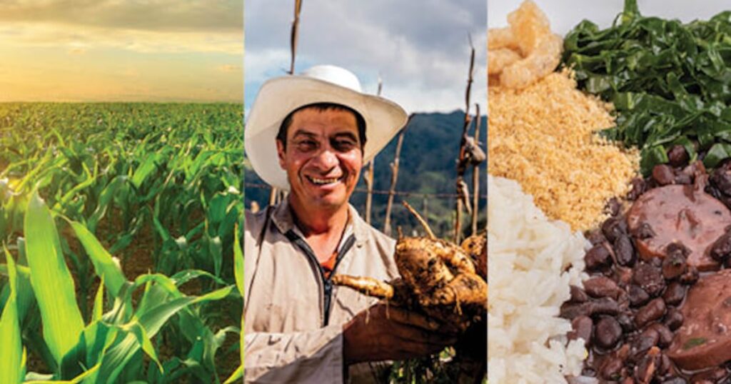 Comida, uma solução climática - Estadão