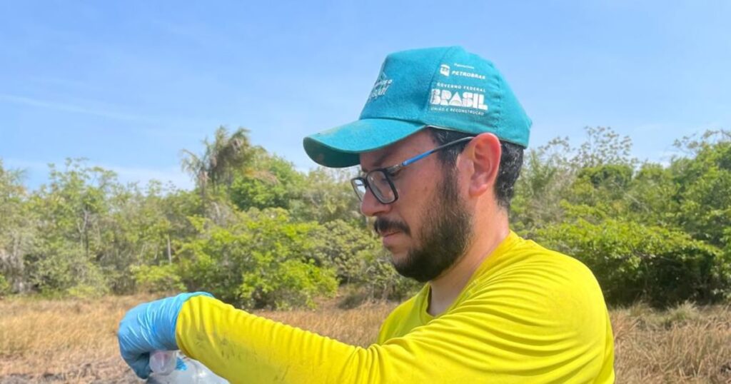 Como cientistas ‘caçam’ na Amazônia moléculas que podem virar esperança contra o câncer
