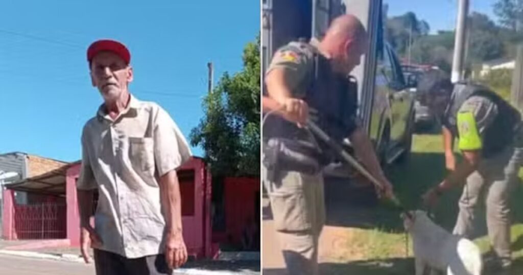 Idoso morre após ser atacado por 4 pitbulls no RS