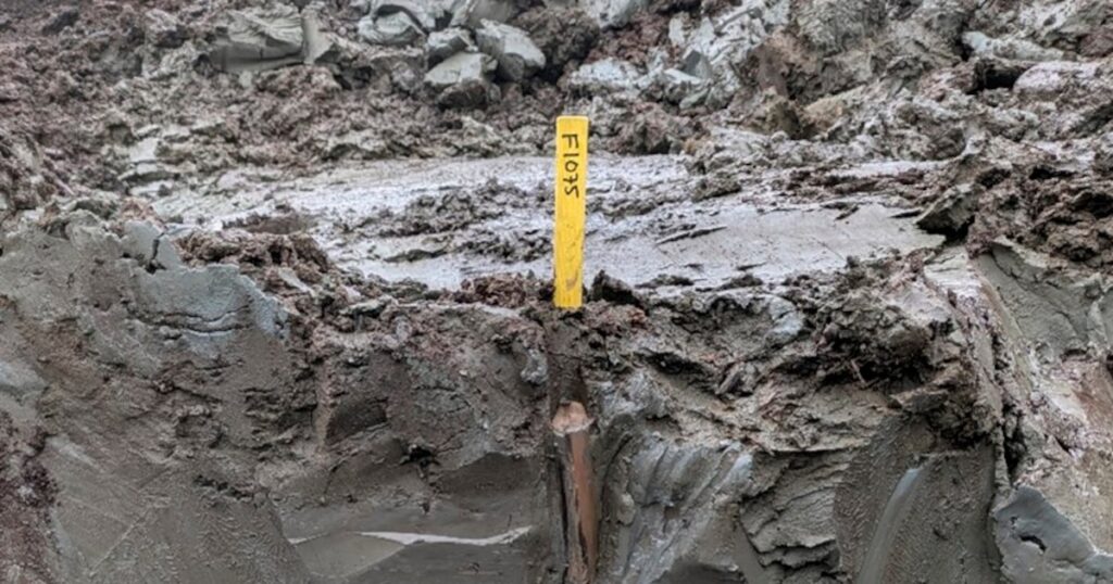 ‘Cápsula do tempo pré-histórica’ de 5 mil anos é descoberta em pântano; veja o que foi achado