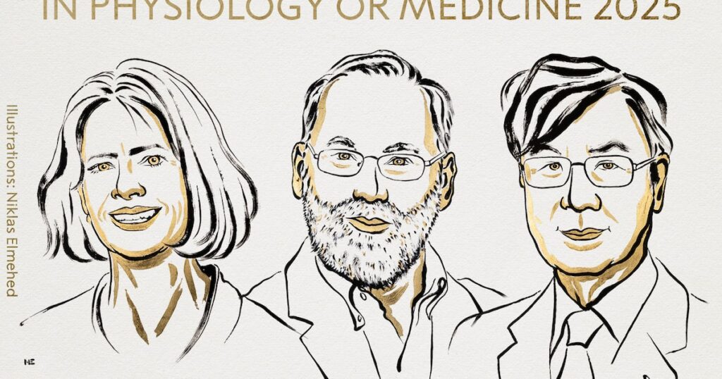 Nobel de Medicina premia descobertas que abrem caminho para terapia mais segura contra o câncer