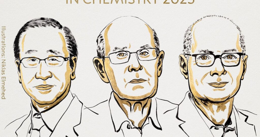 Prêmio Nobel de Química vai para trio que desenvolveu nova arquitetura molecular