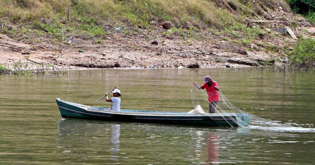 Tecnologia traz harmonia entre botos e pescadores