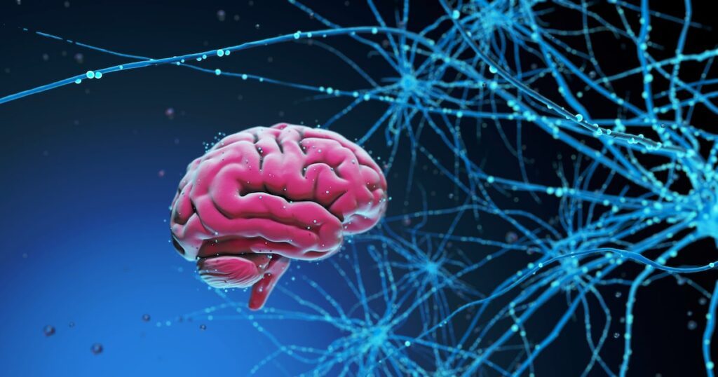 Cientistas determinam as cinco idades do cérebro; veja quais são