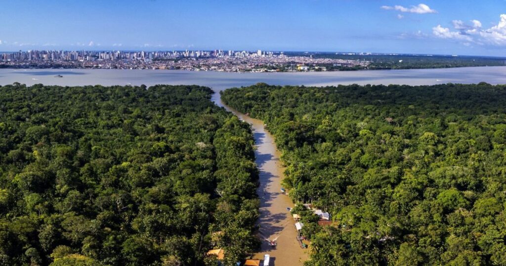 Financiar atividades sustentáveis tem dado certo, dir. do Banco da Amazônia