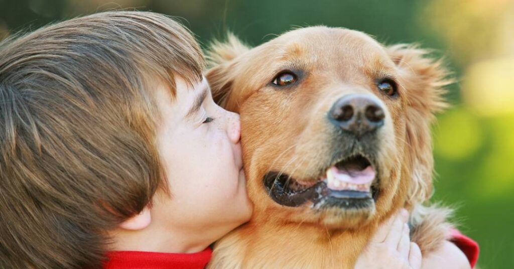 Golden retrievers e humanos dividem genes ligados ao comportamento