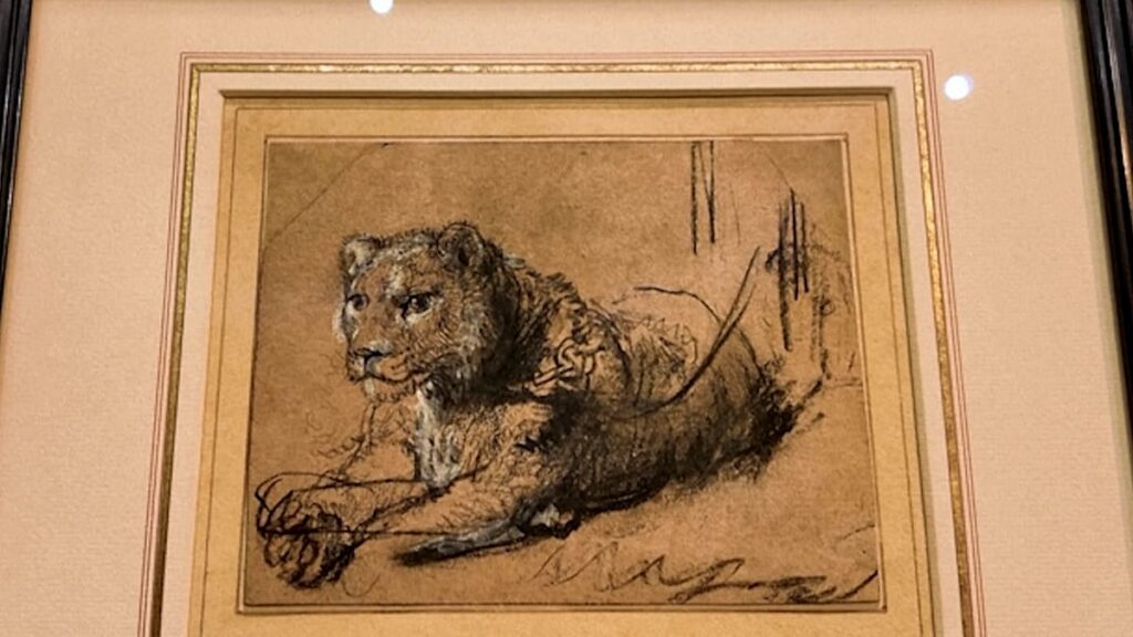 Vídeo. Raro desenho de leão de Rembrandt com 400 anos vai a leilão