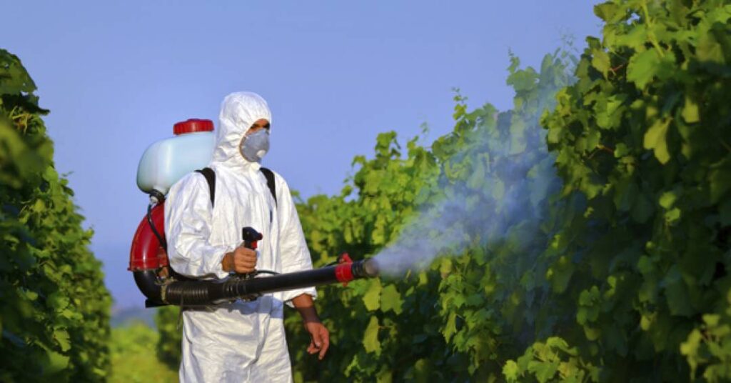 OMS classifica herbicidas usados no Brasil como prováveis causadores de câncer