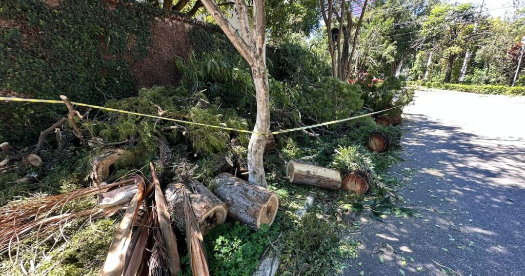 Vendaval de SP faz Climatempo mudar parâmetros para medir fenômeno; entenda
