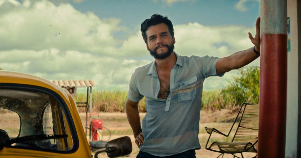 Como é o Tela Brasil, streaming gratuito de filmes brasileiros