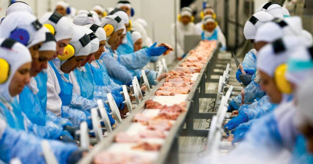 Em ano de tarifaço, Brasil registra recorde em exportações de carne bovina