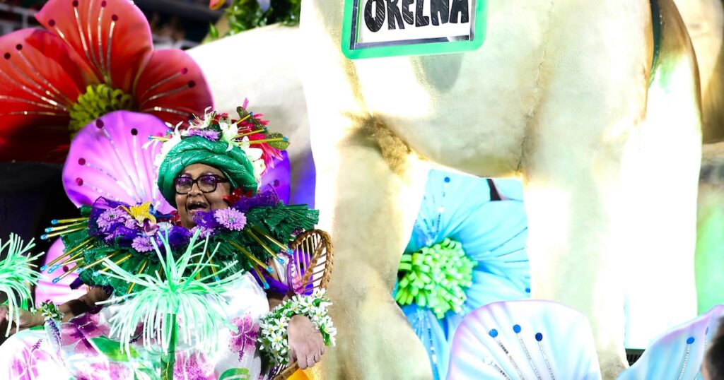 Com enredo sobre Rita Lee, Mocidade homenageia cão Orelha em alegoria