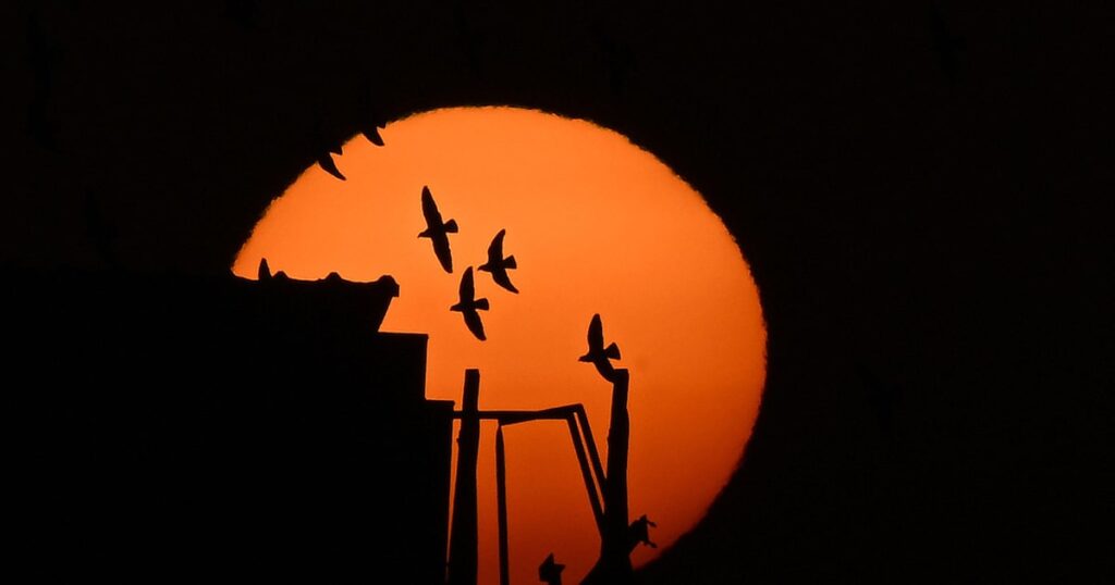 Quantas Terras são necessárias para preencher o volume total do nosso Sol?
