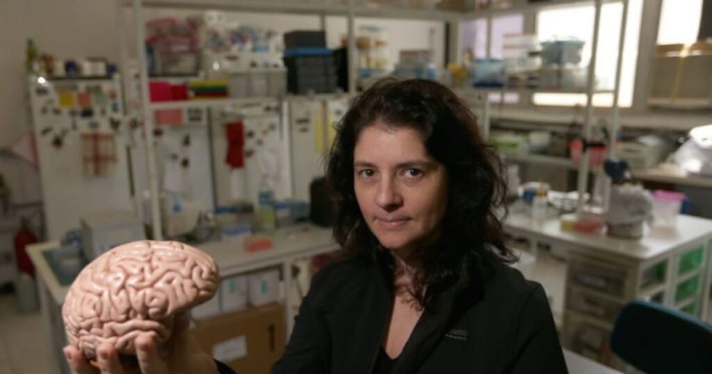 ‘Você não frita os neurônios nas telas, mas pode estar jogando sua vida pela janela’