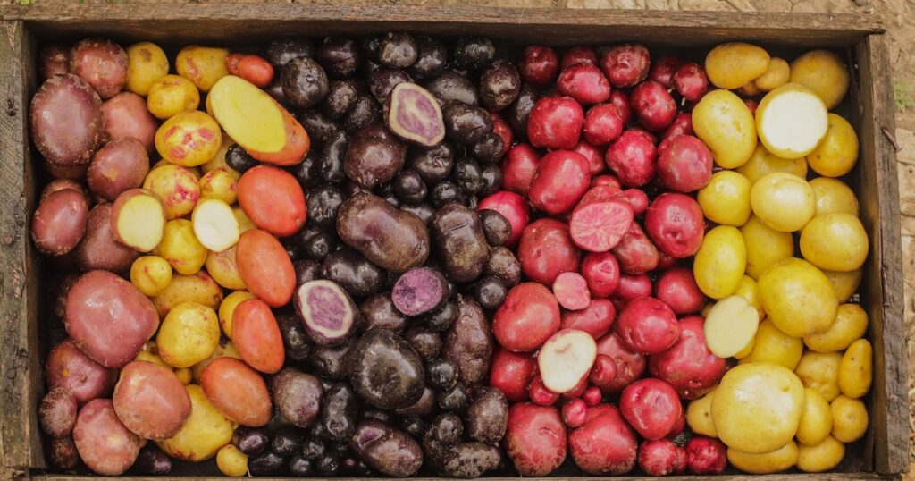 Como uma dieta à base de batata produziu alterações genéticas em um povo