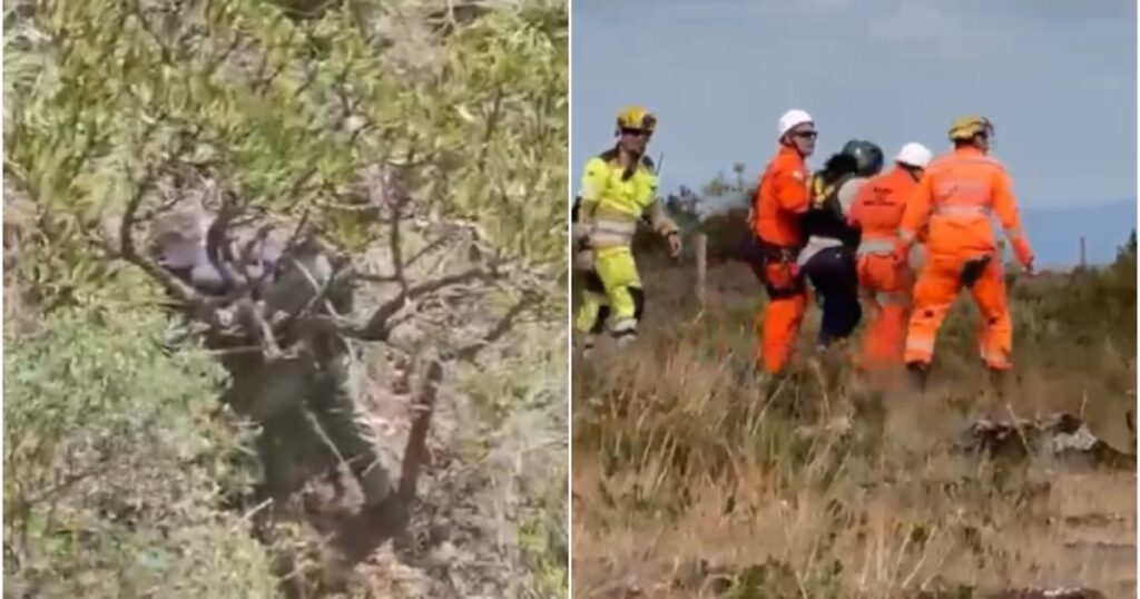 Vídeo: mulher é resgatada com vida após ser jogada de penhasco de 50 metros; ex dela é suspeito