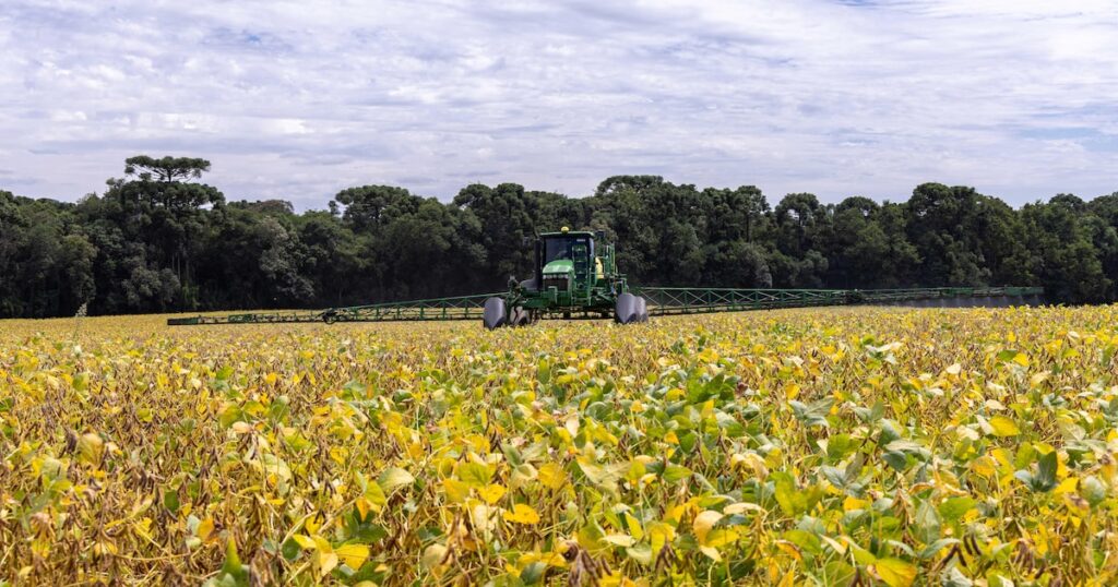 El Niño ameaça piorar pressão no crédito rural e atrasar recuperação do BB