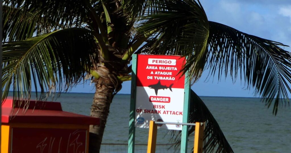 Pernambuco registra segundo caso de ataque de tubarão em dois dias