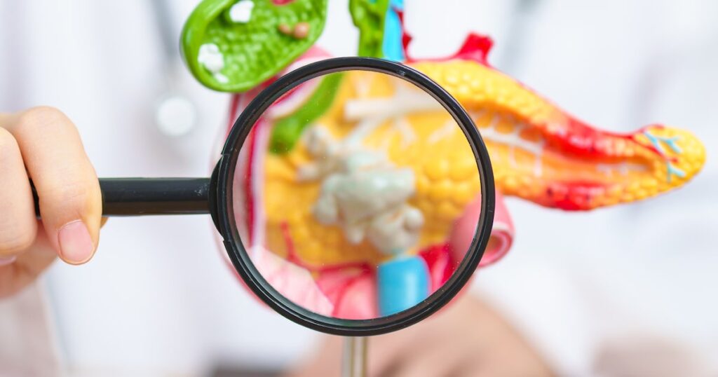 Testes positivos em camundongos abrem novos caminhos para tratamentos contra o câncer de pâncreas