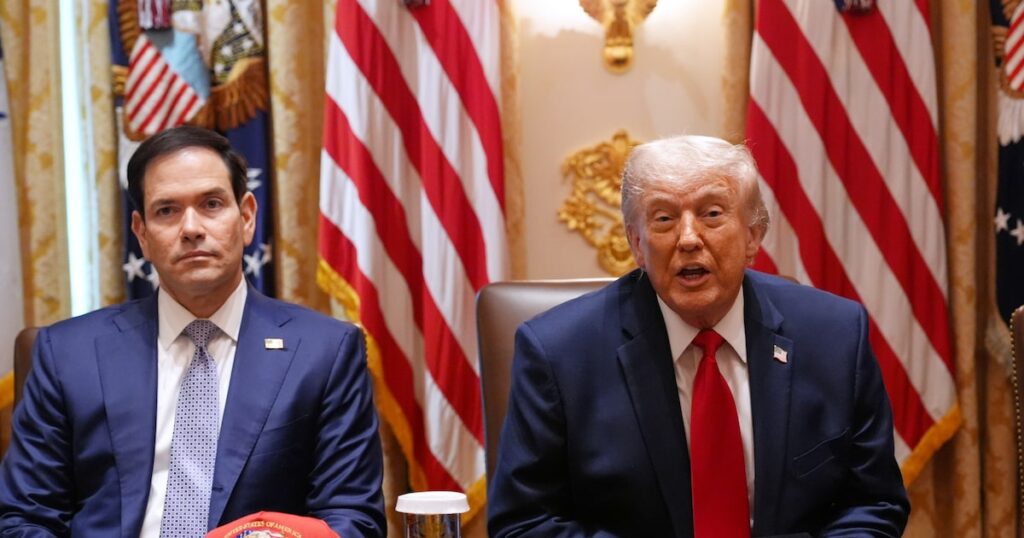 Trump ainda não decidiu se declarará apoio a algum candidato nas eleições brasileiras; veja bastidor