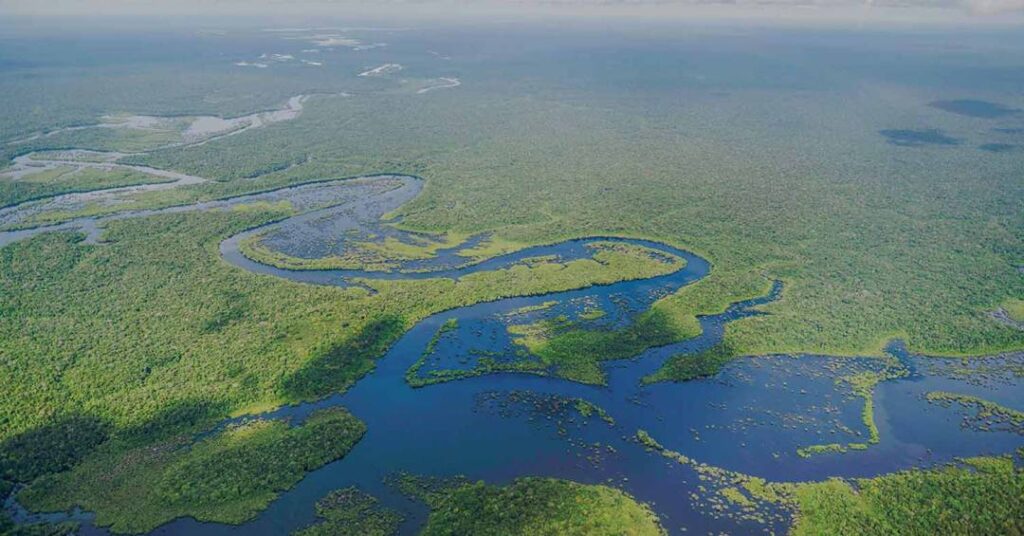 MPF decide investigada dona do ChatGPT por ‘caça ao tesouro’ na Amazônia